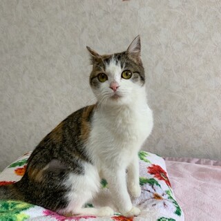 甘えっ子の天乃ちゃん