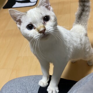 おっとり女子☆もちみ