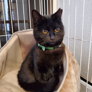 初めての冬は寒かったです。