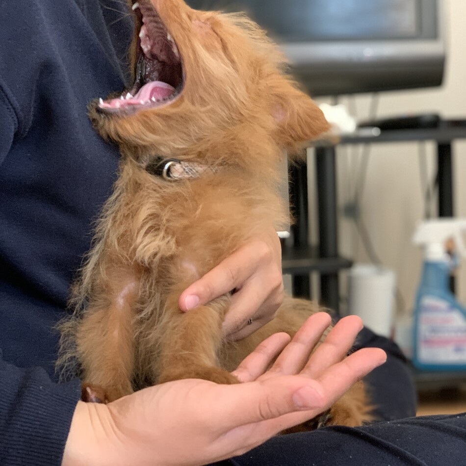 ミルのカバー写真