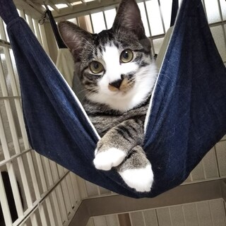 洗濯したての真っ白ソックスを履いています