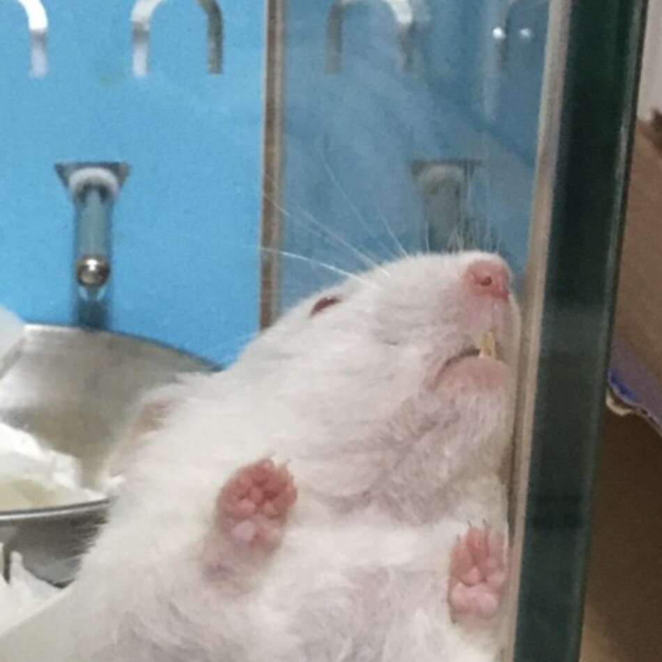 そるとのカバー写真