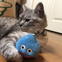 まそら