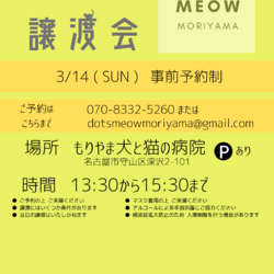 \ 猫の譲渡会 /  名古屋市守山区