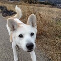 風太にずっとの家族が出来ました