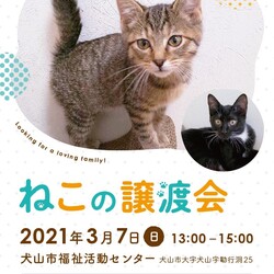 ねこの譲渡会＠犬山市福祉活動センター