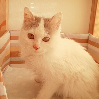 【4/18芝浦】マイペース&甘えん坊女子チーム