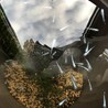 メダカお譲りします サムネイル2