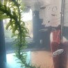 メダカお譲りします サムネイル4