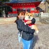 あきこむ