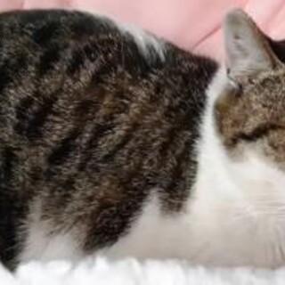不満顔がまたカワイイ！わかめちゃん♪