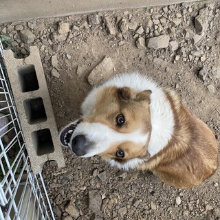 応募多数の為一時募集を停止します。