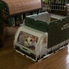 空ちゃんの小さい時の写真かわいい