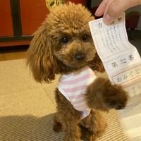 くう