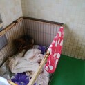 募集終了