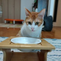 ぺち