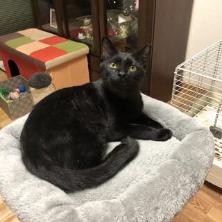 ありがとうございました★スタイル抜群リーフ君