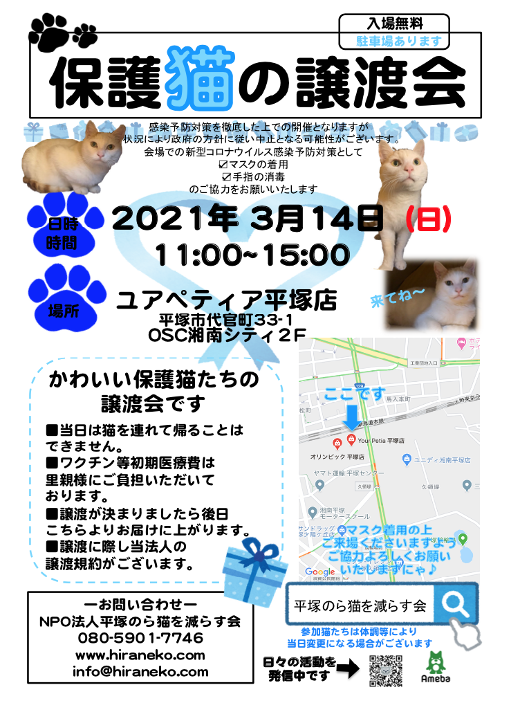 3月の譲渡会 Npo法人 平塚のら猫を減らす会