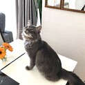 ゴージャスなボクをみて！