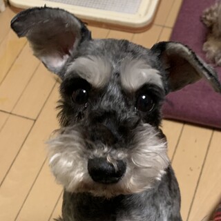 元気で明るい女の子♪