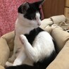 六郎