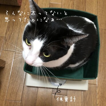 の写真