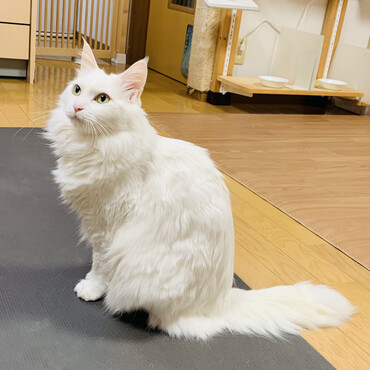 マリー、8歳のバースデー