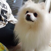 天膳