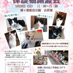 第１４回保護猫譲渡会in山口県