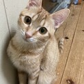 手足の長いイケメンくん❣️