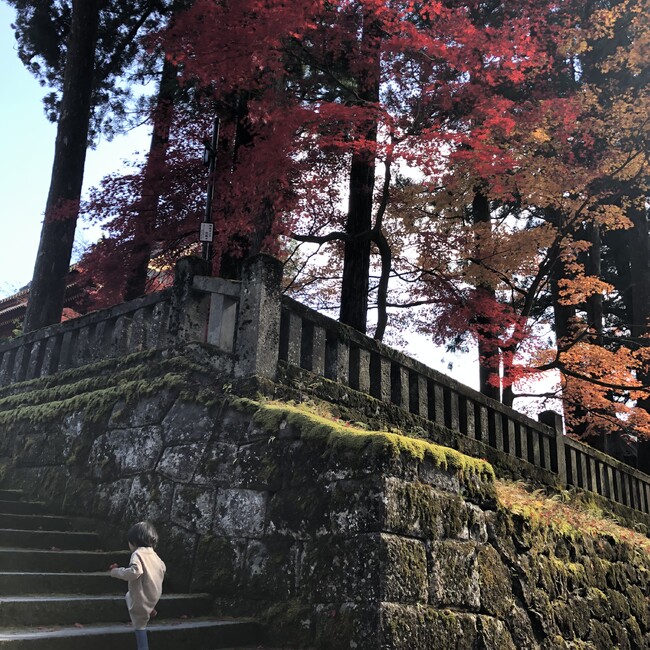 めだかのがっこうのカバー写真