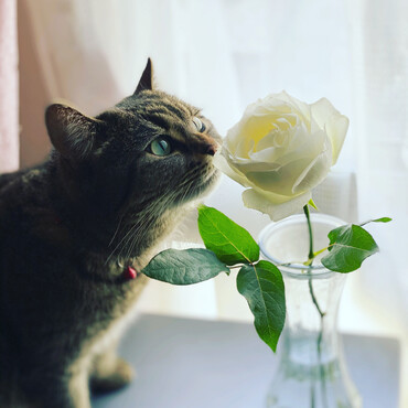 風香はお花が大好きです。
