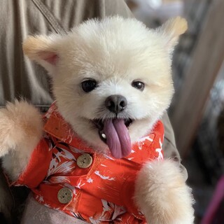 竜王（りゅうおう）ボクに癒されたい人～！集合！！