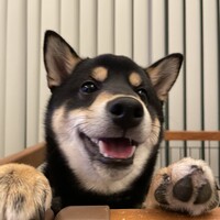 小次郎