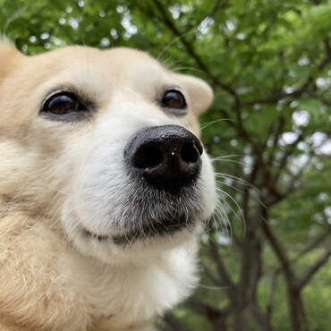 いつもこ公園にて