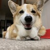 さぶ部長
