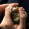 こんさふ