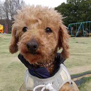 しゃがむとハグしにきてくれる♡チェッカーちゃん