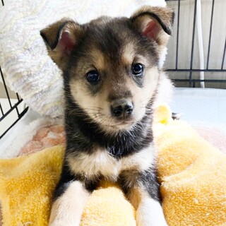 控えめ優しいはるくん☆2ヶ月