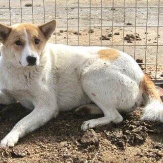 聡明そうな女の子 お迎えがありません