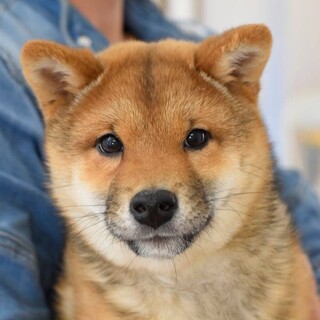 ハッピーなケンシロウ！