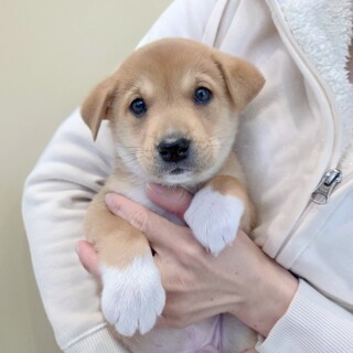 惚れてまうやろ〜！性格までも花丸の“ウィル君”