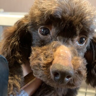 命をつむいだ小さな女の子。紬ちゃん