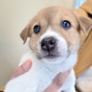 探検大好き❤️活発な『アンジェリーナちゃん』