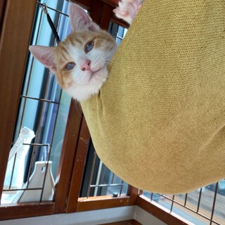 甘えん坊さん☆ラッキーくん