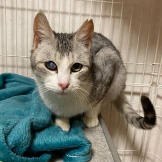 スリゴロの甘えん坊さん☆スーちゃん