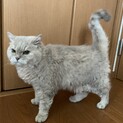 変わった種類の子です。