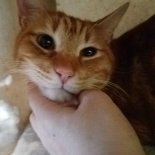 人恋しい♡甘えん坊5歳のちゃまくんです。