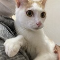 大きいお目目☆たくまくん