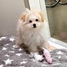 ohiichanさん